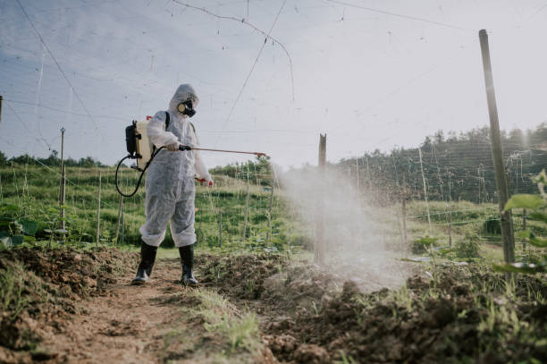 Best Mosquito Control Services  in Moosic, PA