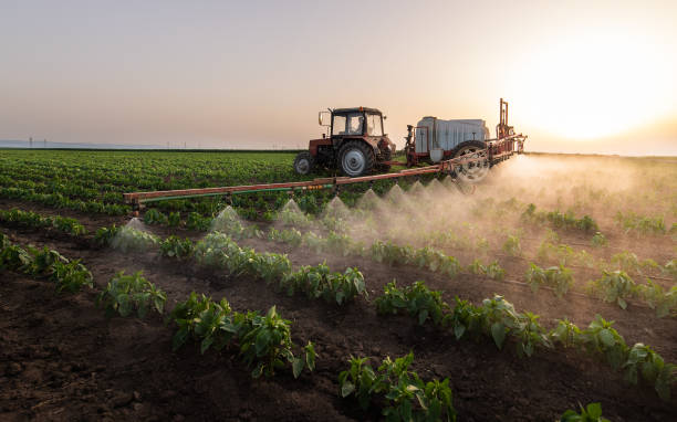 Reliable Moosic, PA Pest Control Solutions