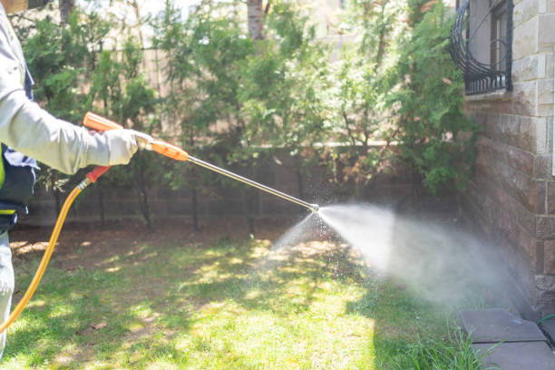 Best Cockroach Control Services  in Moosic, PA