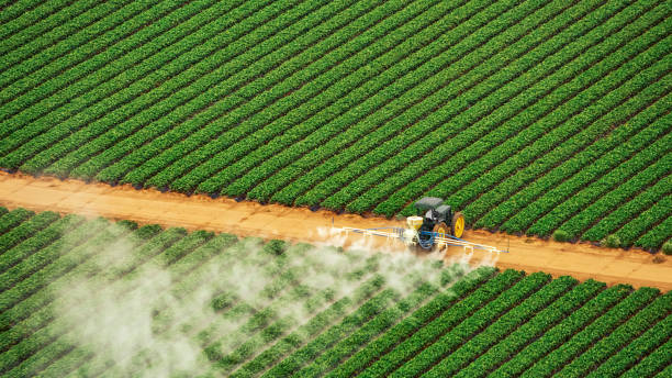 Pest Prevention Services in Moosic, PA