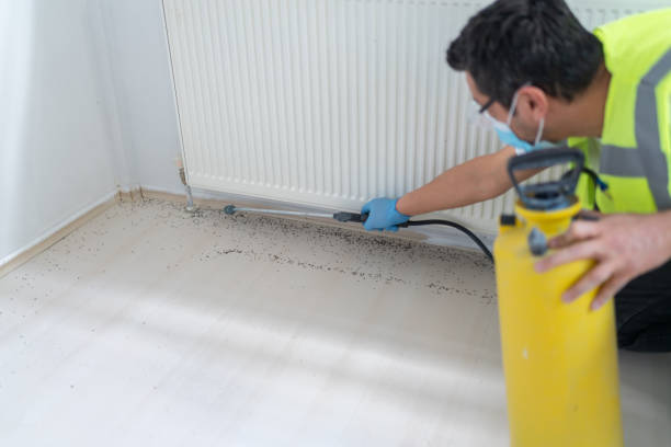 Best Pest Control Cost  in Moosic, PA