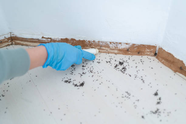 Pest Control Cost in Moosic, PA