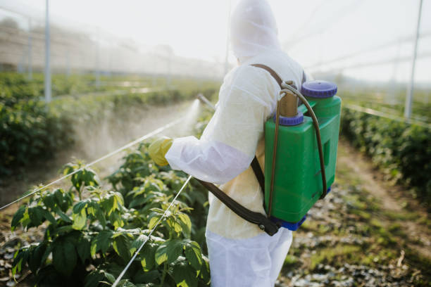 Best Emergency Pest Control  in Moosic, PA